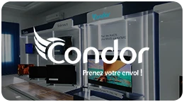 condor